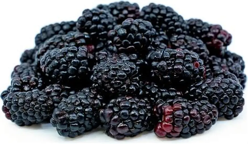 IQF Blackberries